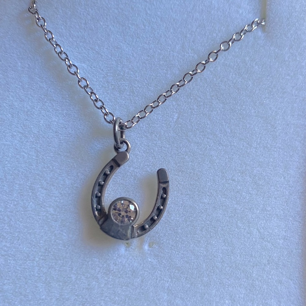 Montana Silversmith horseshoe necklace